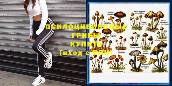 прущий лед Нязепетровск