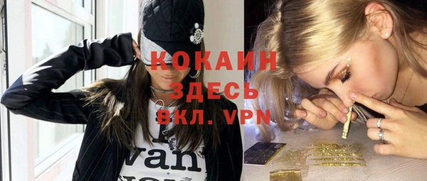 spice Новодвинск