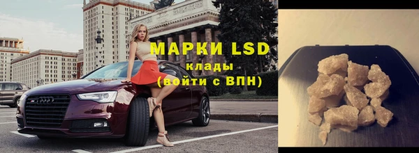 spice Новодвинск