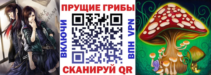 Галлюциногенные грибы прущие грибы  сколько стоит  ОМГ ОМГ рабочий сайт  Алдан 